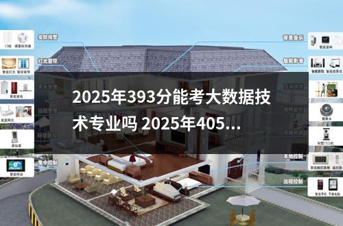 2025年393分能考大数据技术专业吗 2025年405分能考数据科学与大数据技术专业吗