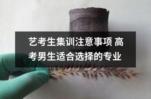 艺考生集训注意事项 高考男生适合选择的专业
