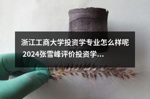 浙江工商大学投资学专业怎么样呢 2024张雪峰评价投资学专业怎么样呢