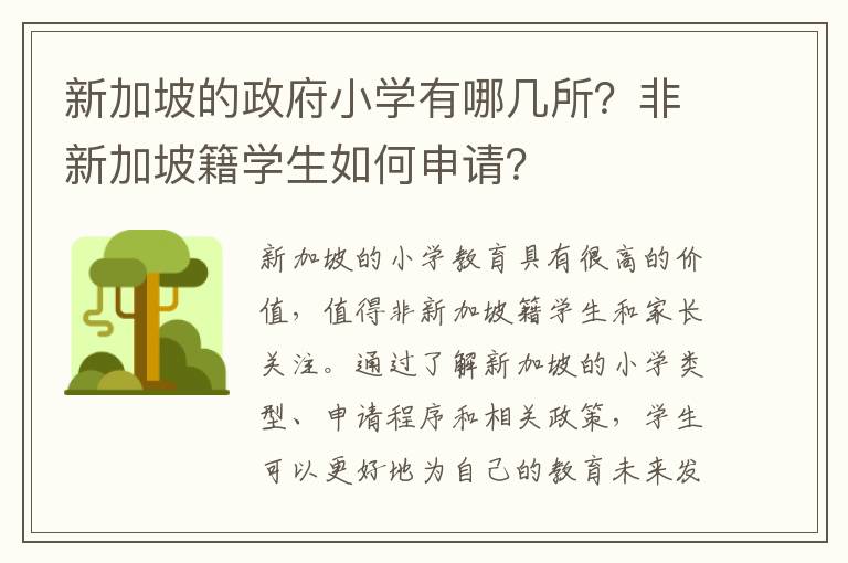 新加坡的政府小学有哪几所?非新加坡籍学生如何申请?