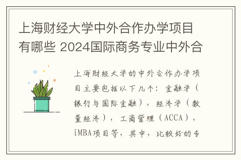 上海财经大学中外合作办学项目有哪些 2024国际商务专业中外合作办学学校有哪些