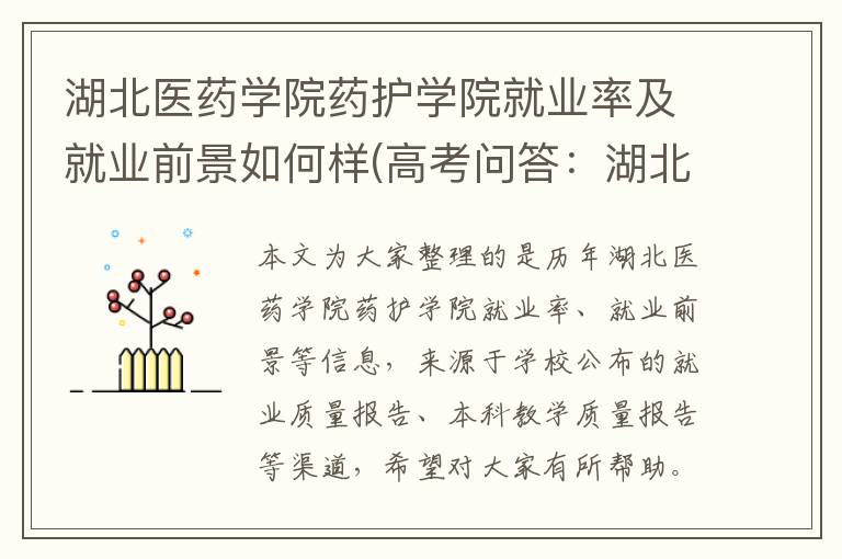 湖北医药学院药护学院就业率及就业前景如何样(高考问答：湖北医药学院药护学院报考指导)