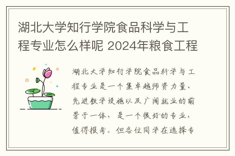湖北大学知行学院食品科学与工程专业怎么样呢 2024年粮食工程专业哪些大学好