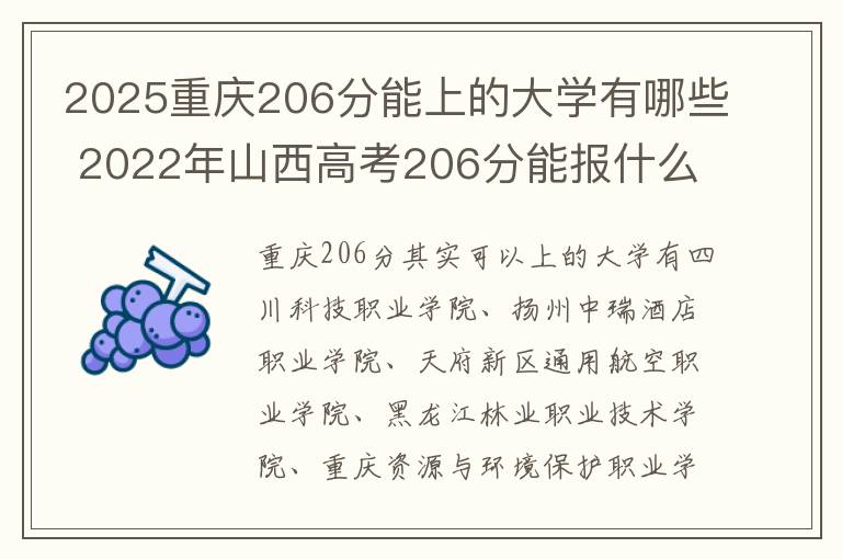 2025重庆206分能上的大学有哪些 2022年山西高考206分能报什么大学