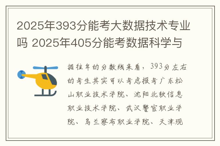 2025年393分能考大数据技术专业吗 2025年405分能考数据科学与大数据技术专业吗
