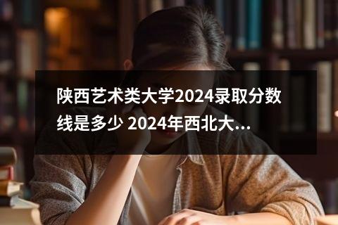 陕西艺术类大学2024录取分数线是多少 2024年西北大学现代学院艺术类专业有哪些