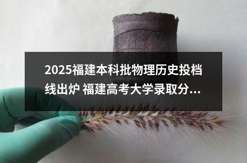 2025福建本科批物理历史投档线出炉 福建高考大学录取分数线