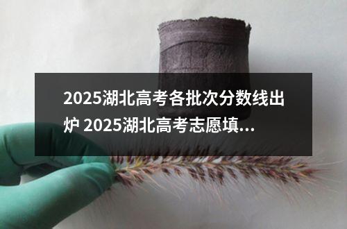 2025湖北高考各批次分数线出炉 2025湖北高考志愿填报技巧