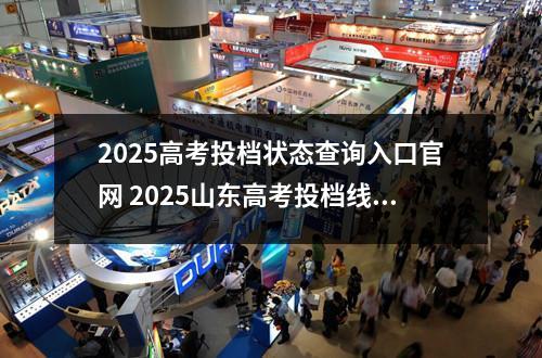 2025高考投档状态查询入口官网 2025山东高考投档线怎么查