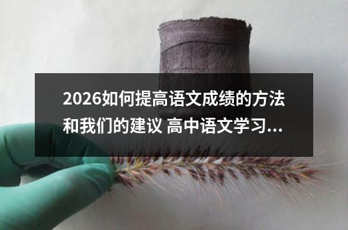 2026如何提高语文成绩的方法和我们的建议 高中语文学习实用技巧稳提分