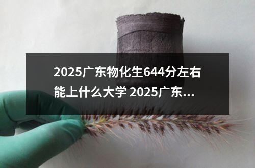 2025广东物化生644分左右能上什么大学 2025广东物化生364分左右能上什么大学