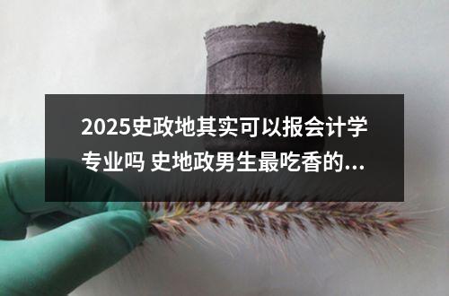 2025史政地其实可以报会计学专业吗 史地政男生最吃香的专业和2025哪些专业有发展