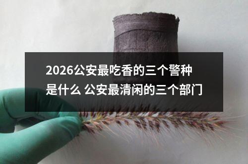 2026公安最吃香的三个警种是什么 公安最清闲的三个部门