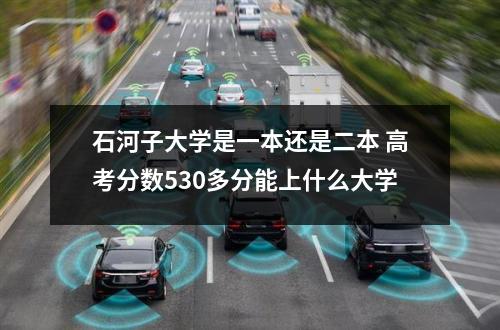 石河子大学是一本还是二本 高考分数530多分能上什么大学