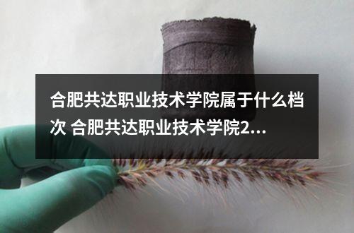 合肥共达职业技术学院属于什么档次 合肥共达职业技术学院2024年学费多少钱