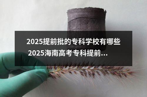 2025提前批的专科学校有哪些 2025海南高考专科提前批都有哪些学校和专业