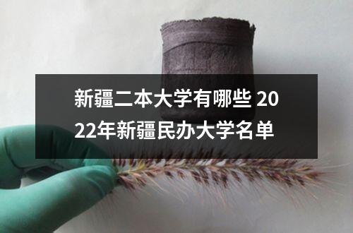 新疆二本大学有哪些 2022年新疆民办大学名单