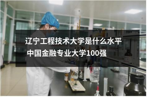辽宁工程技术大学是什么水平 中国金融专业大学100强