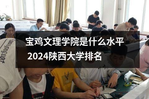 宝鸡文理学院是什么水平 2024陕西大学排名