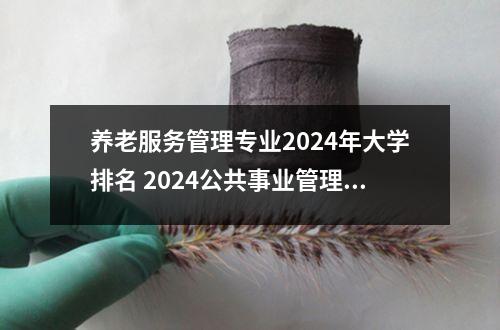 养老服务管理专业2024年大学排名 2024公共事业管理专业大学最新排名