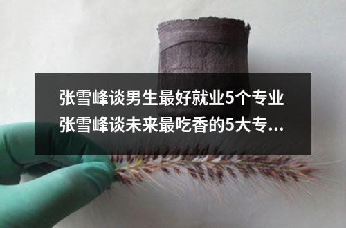 张雪峰谈男生最好就业5个专业 张雪峰谈未来最吃香的5大专业和如何选择专业