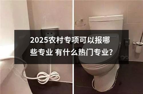 2025农村专项可以报哪些专业 有什么热门专业？