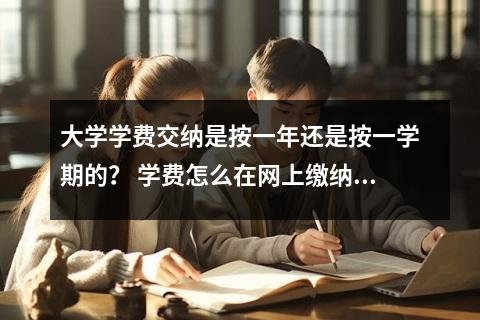 大学学费交纳是按一年还是按一学期的? 学费怎么在网上缴纳?