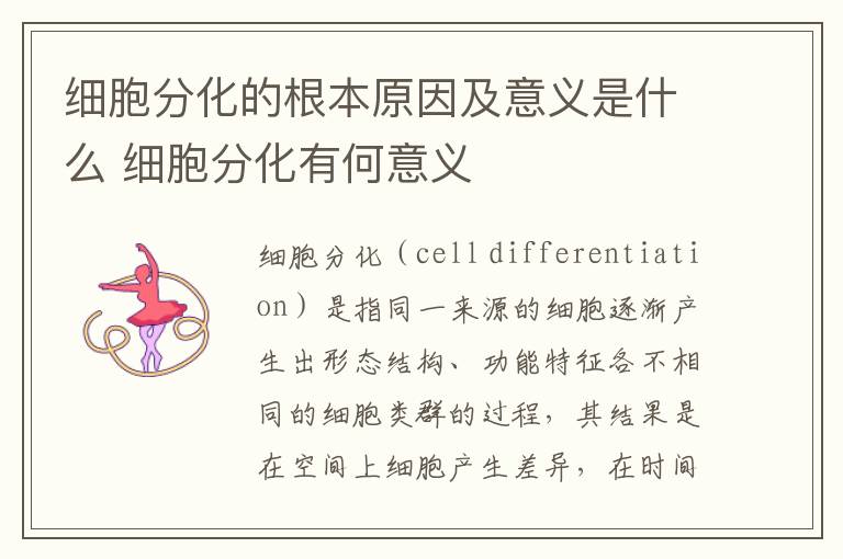 细胞分化的根本原因及意义是什么 细胞分化有何意义