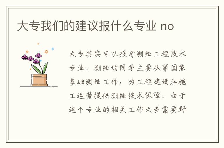 大专我们的建议报什么专业 no