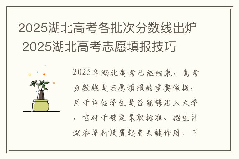 2025湖北高考各批次分数线出炉 2025湖北高考志愿填报技巧