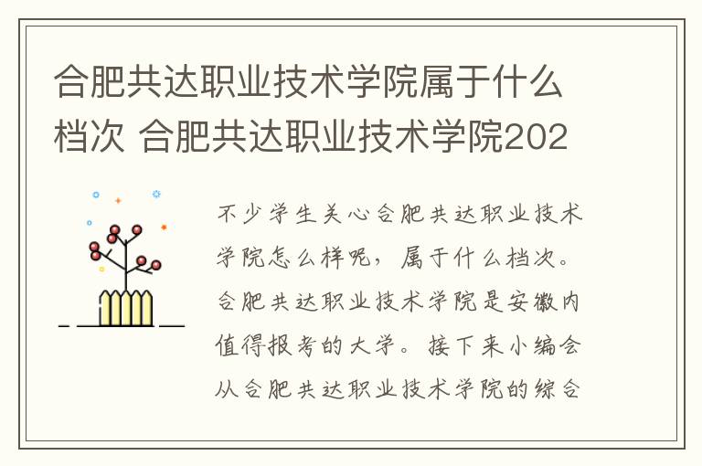 合肥共达职业技术学院属于什么档次 合肥共达职业技术学院2024年学费多少钱