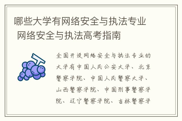 哪些大学有网络安全与执法专业 网络安全与执法高考指南
