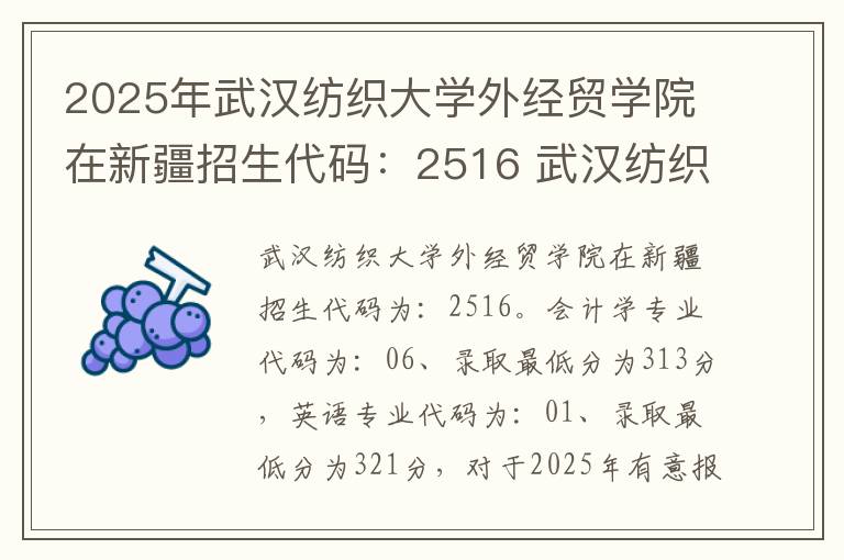 2025年武汉纺织大学外经贸学院在新疆招生代码：2516 武汉纺织大学外经贸学院收中专吗