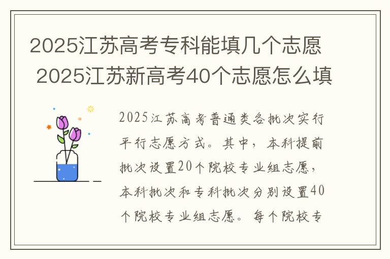 2025江苏高考专科能填几个志愿 2025江苏新高考40个志愿怎么填