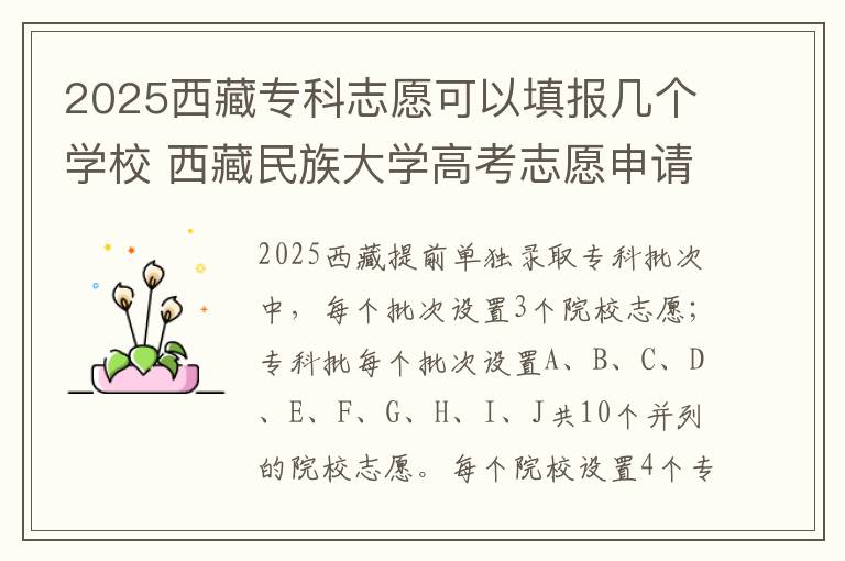 2025西藏专科志愿可以填报几个学校 西藏民族大学高考志愿申请调剂过程