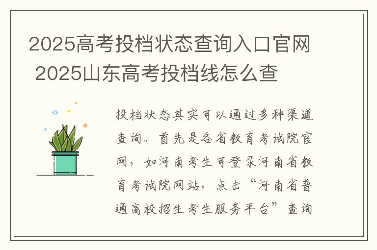 2025高考投档状态查询入口官网 2025山东高考投档线怎么查