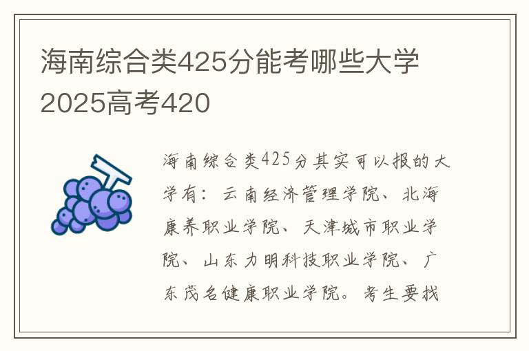 海南综合类425分能考哪些大学 2025高考420