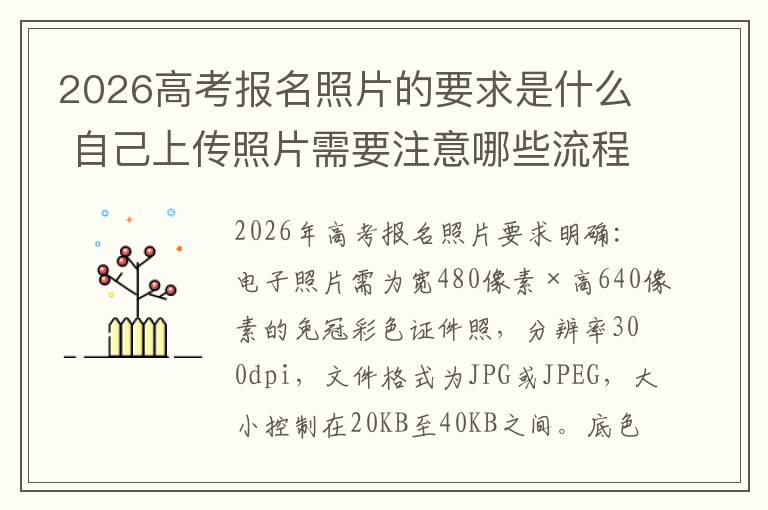 2026高考报名照片的要求是什么 自己上传照片需要注意哪些流程