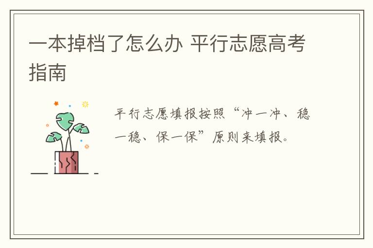 一本掉档了怎么办 平行志愿高考指南