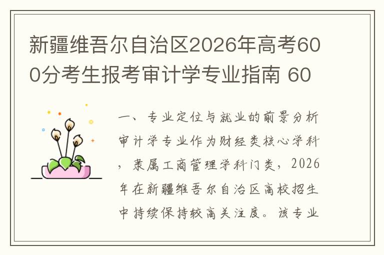 新疆维吾尔自治区2026年高考600分考生报考审计学专业指南 600分考生报考策略建议