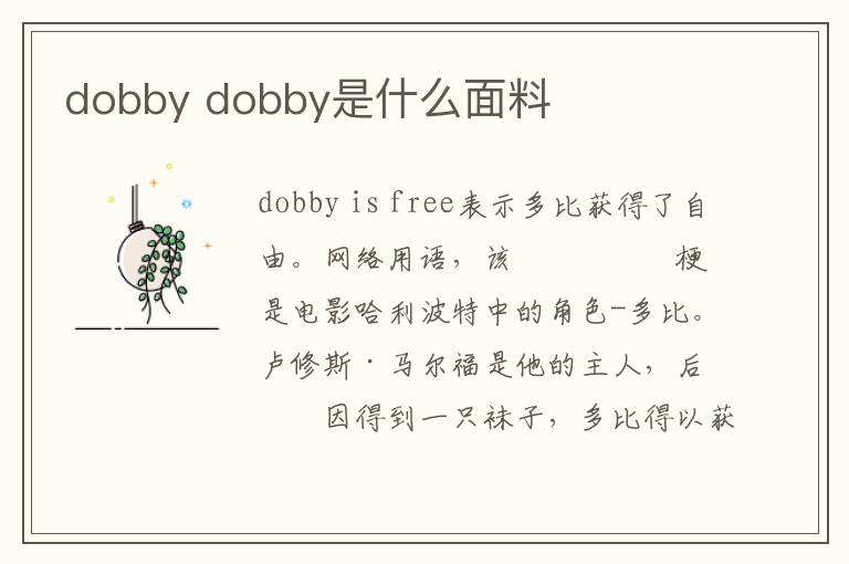 dobby dobby是什么面料